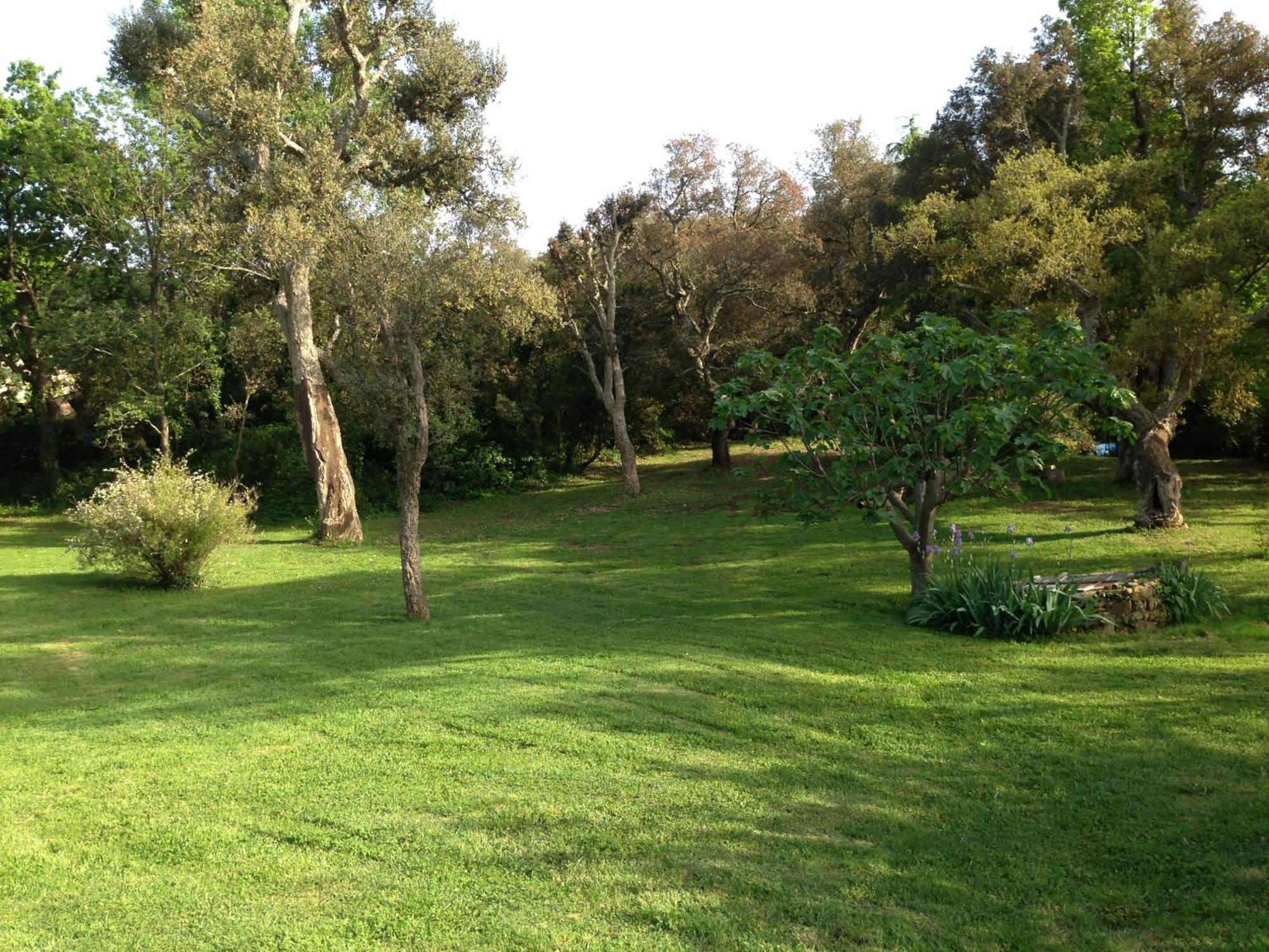 Les Gites Du Merle Cogolin Exterior foto