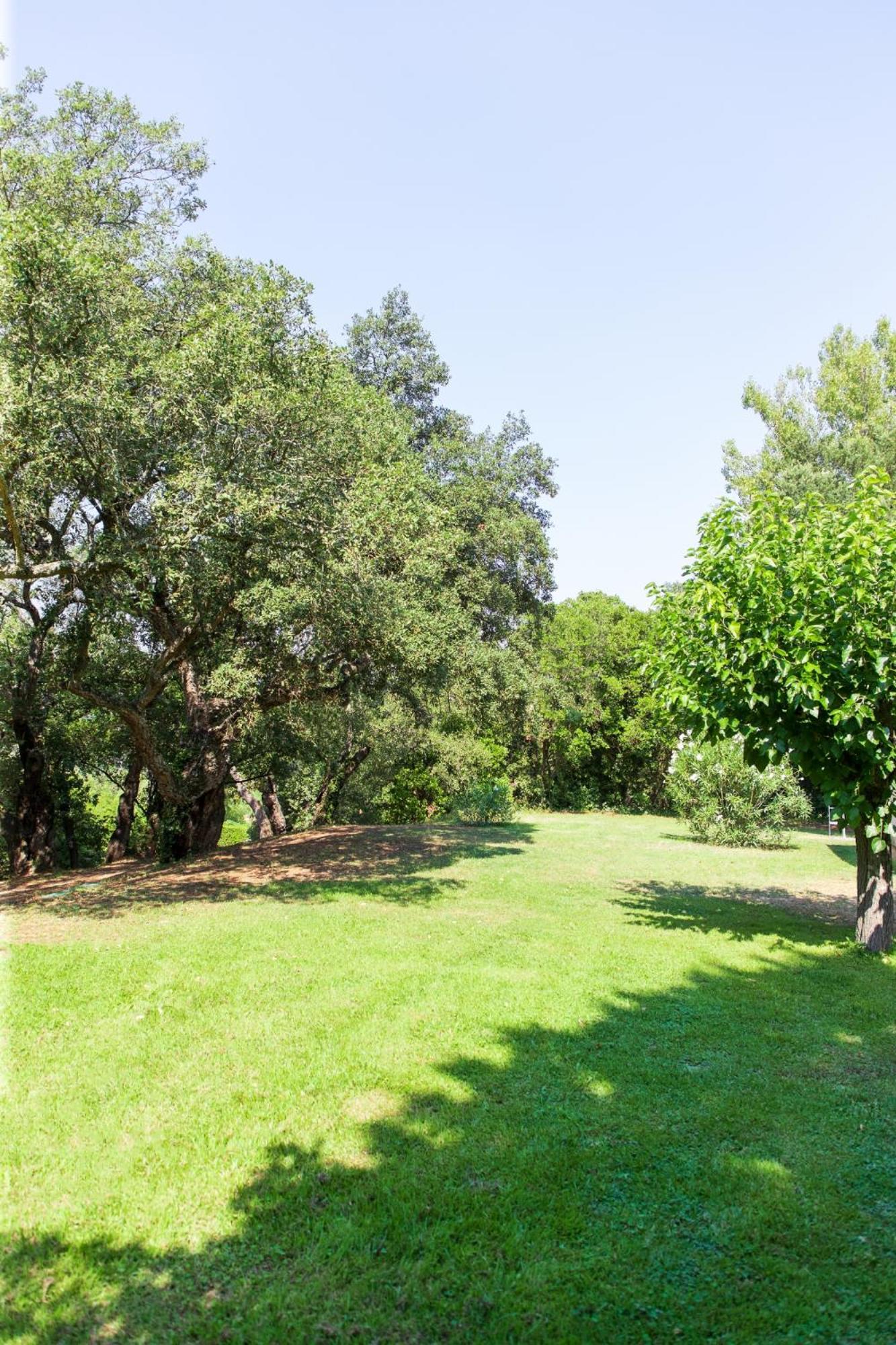 Les Gites Du Merle Cogolin Exterior foto